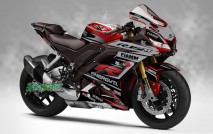 Complete 3M™ Decal Sticker Kit - Gray/Red for Yamaha YZF R15 (2017)