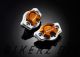Crankshaft Cover Set - Gold