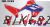 Honda CRF300L Decal Sticker Kit - DIRT