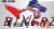 Honda CRF300L Decal Sticker Kit - JUST1