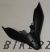 64305-K1B-T00ZB