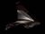 B48-F8395-00-P3