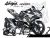 Complete 3M™ Decal Sticker Kit - FASTERLINE (Black) for Kawasaki Ninja 400
